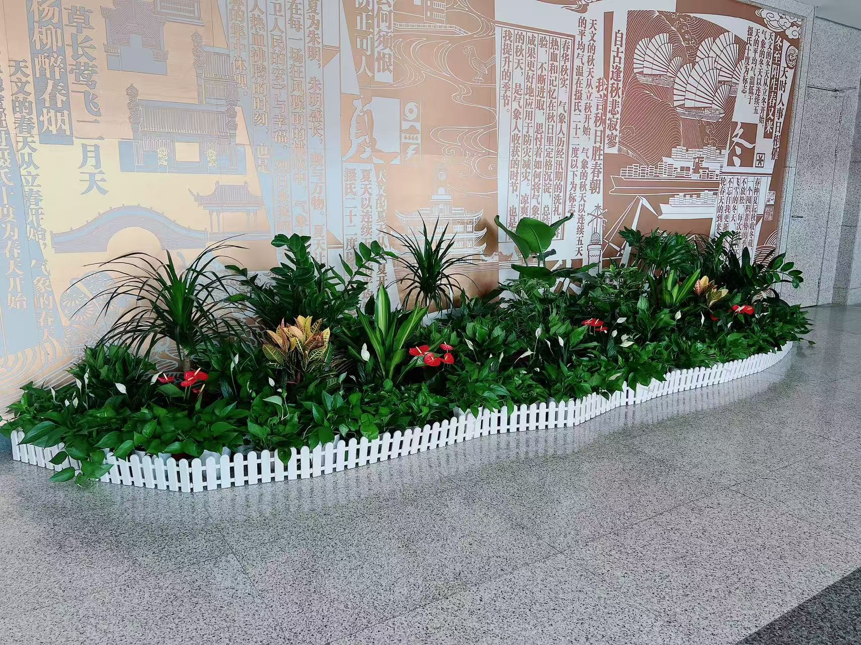 速看！宁波江北花卉出租方案全解析